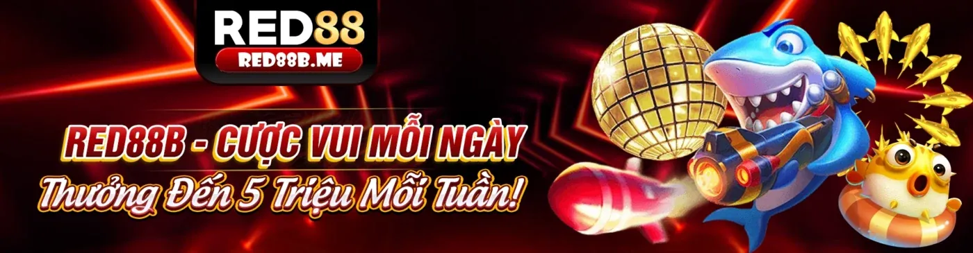 Biểu đồ minh họa các loại cookie khác nhau